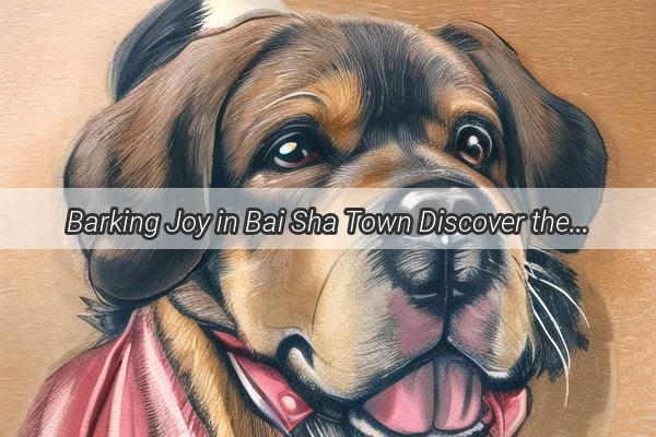 Barking Joy in Bai Sha Town Discover the DogLoving Community of Yi County